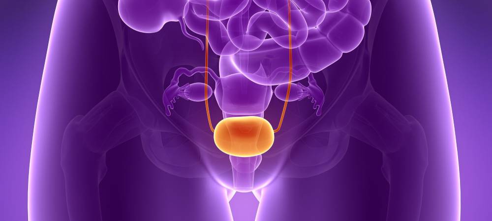 Best Genitourinary Cancer Treatment Doctors in Sangamner